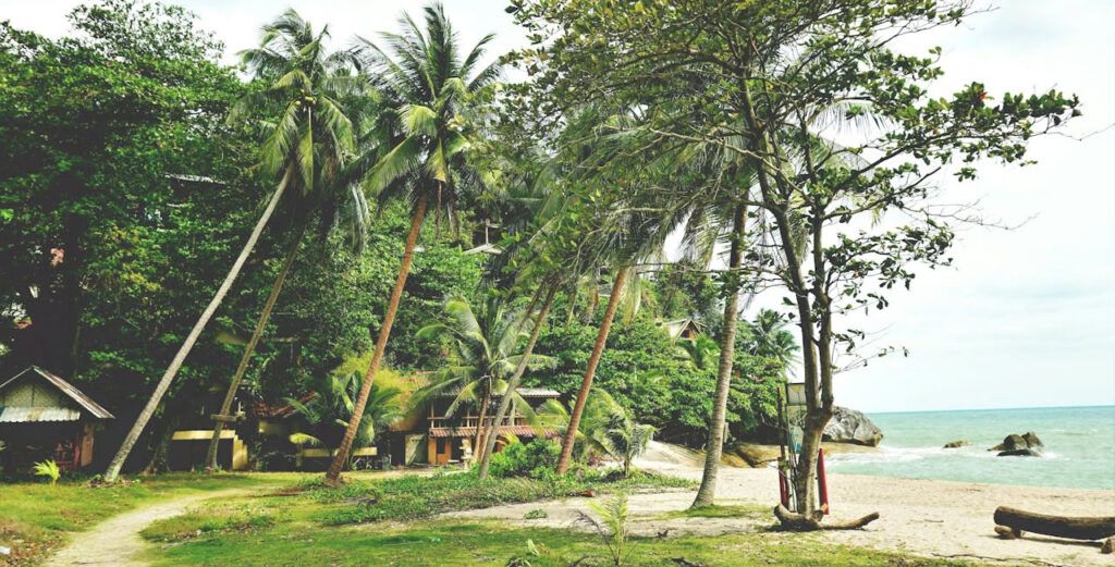 Beach and palm trees on Koh Phangan, Thailand — popular with digital nomads for its creative and relaxed vibe